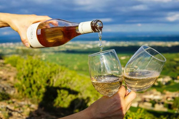 Comment déguster le vin comme un professionnel ?